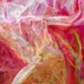 Painterly FAA 13